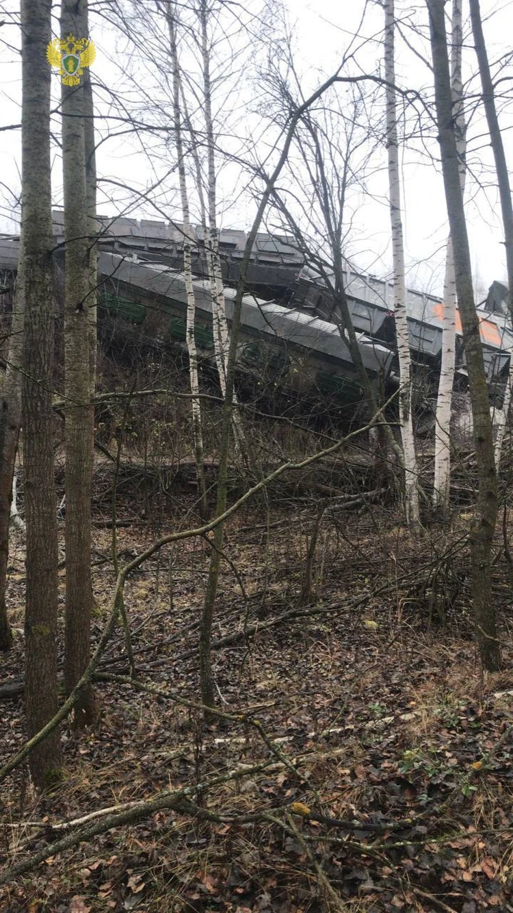 Прокуратура показала фото с места схода 19 грузовых вагонов в Рязанской  области - KP.RU