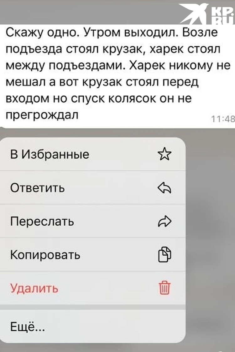 За что все на меня ополчились?»: в Новосибирске машину экс-участницы шоу  «Беременна в 16» закидали яйцами из-за парковки - KP.RU