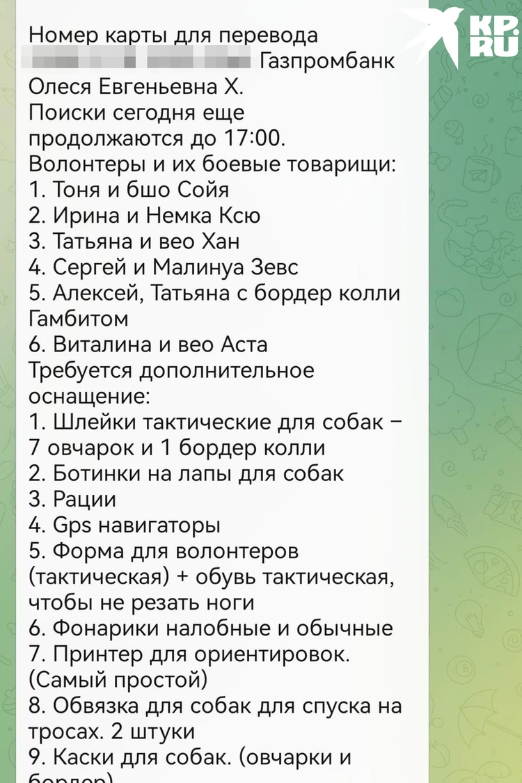 Проникла на завалы обманом ради фото!»: кинолога обвинили в мошенничестве на  фоне трагедии в «Крокус Сити Холл» - KP.RU