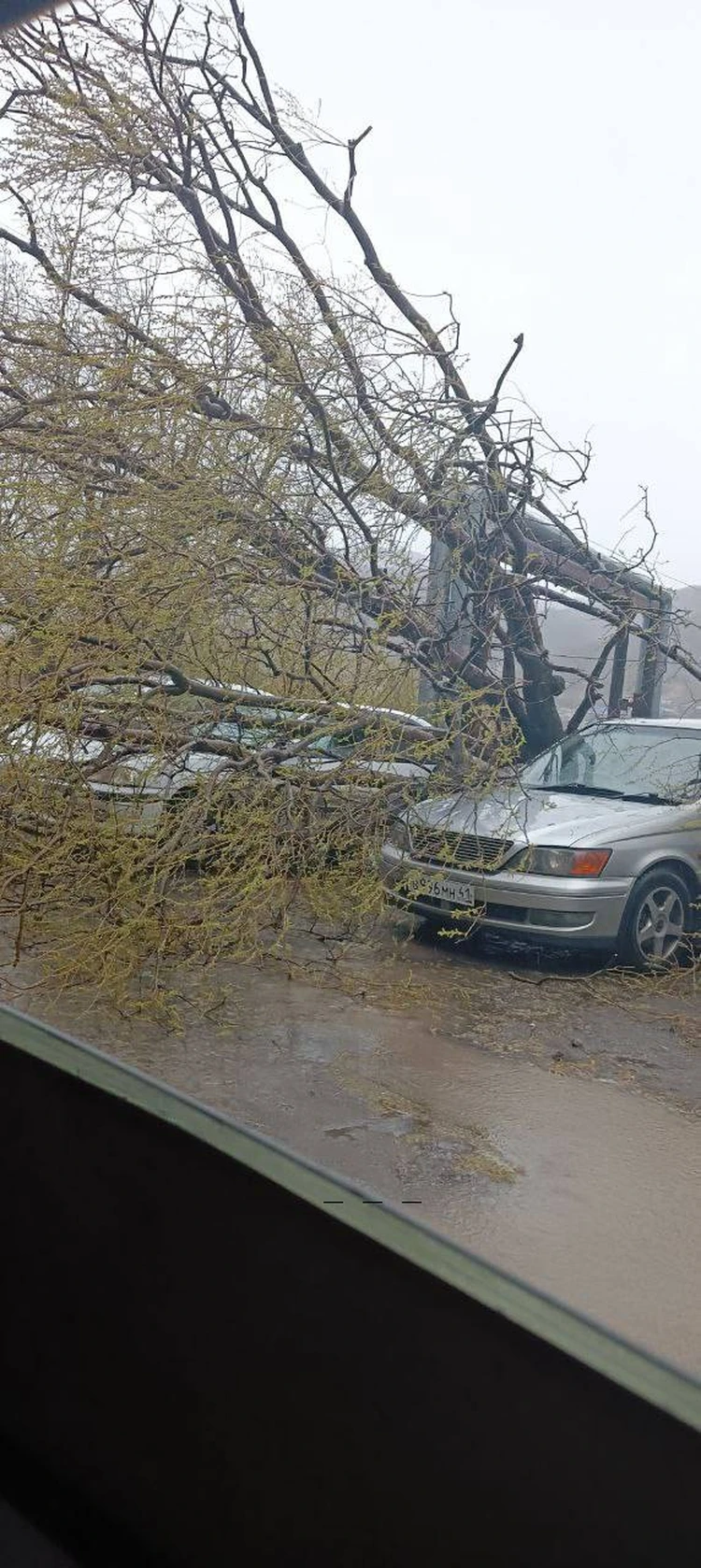 Остановки «убегают», вода прибывает: на Камчатку 26 мая нагрянул мощный  антициклон - KP.RU