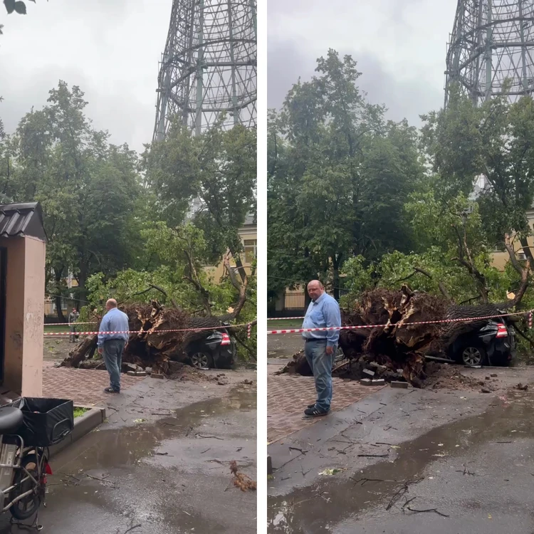 Муж трахнул жену - бревно порно видео онлайн