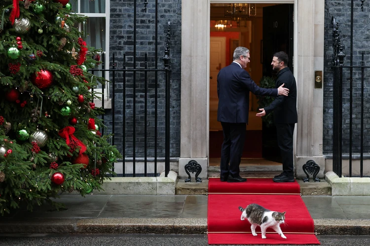 Кот Ларри доверие оправдал