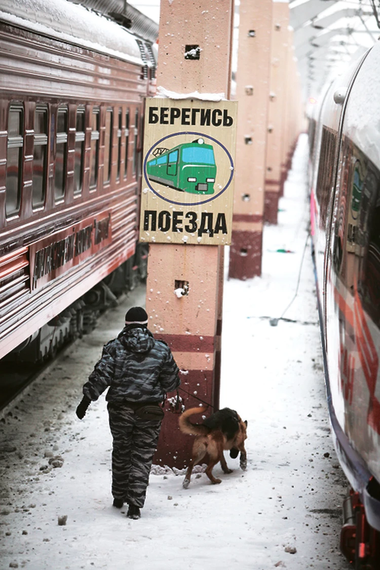 Чему теракт в Домодедово научил Петербург: В метро узаконят личный досмотр  - KP.RU