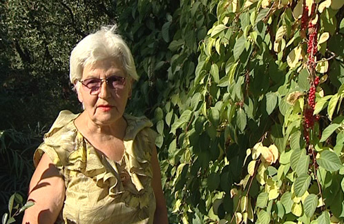 Galina Georgievna Vatulina vedle své citronové trávy.