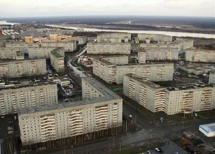 Porno filmda semiz arman ayollar