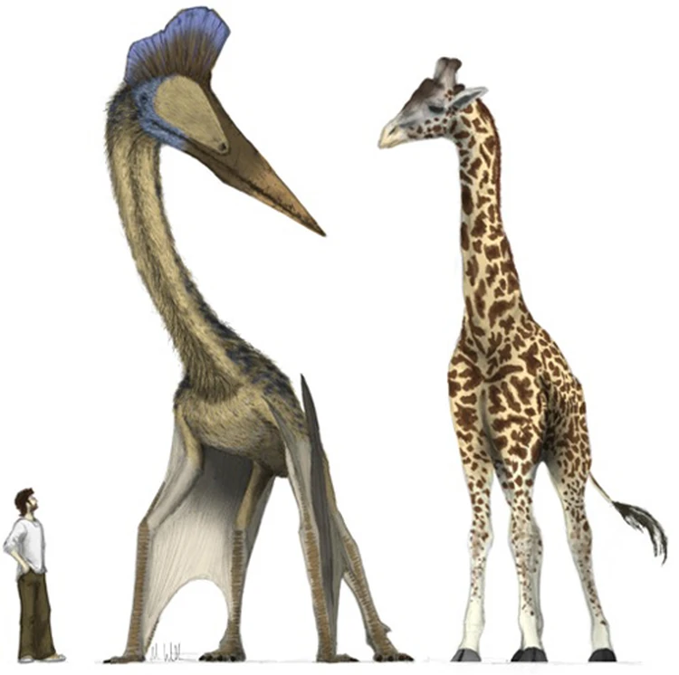 Птерозавры оказались гораздо страшнее, чем считалось раньше - KP.RU