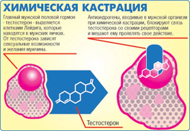 Кастрация собственного мужа. История любви. | Секс форум | Эротика | chastnaya-banya.ru