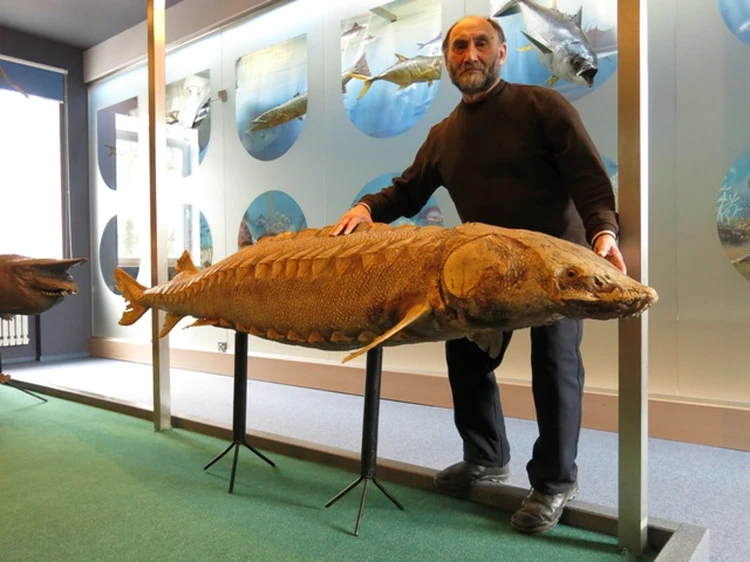 Мулат әйел серіктесінен қашып кетеді