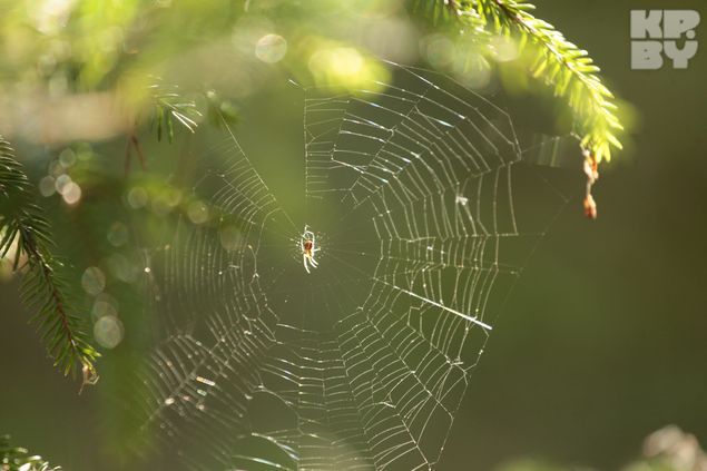 Национальный парк